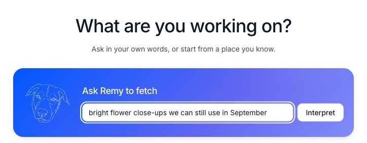 Ask Remy to fetch — straight from the product
